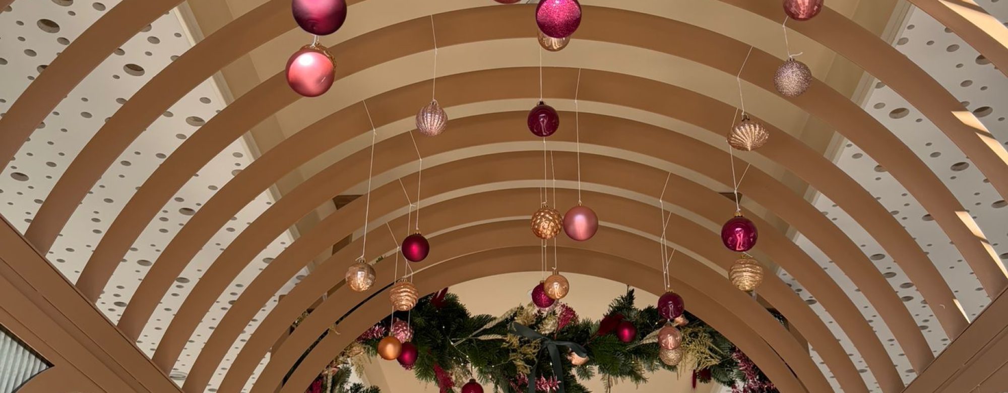 WhatsApp Image 2025-12-12 at 18.49.15